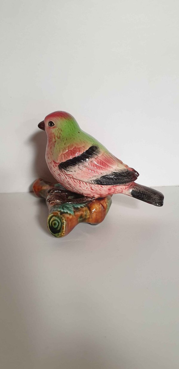 Massier vogel